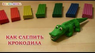 How to make a crocodile | Video Modeling