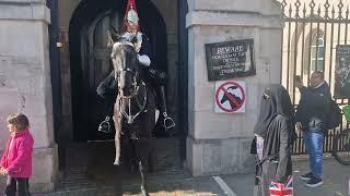 Dont touch the horse #horseguard