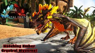 How To Tame The Ember Crystal Wyvern! Ark Crystal Isles DLC