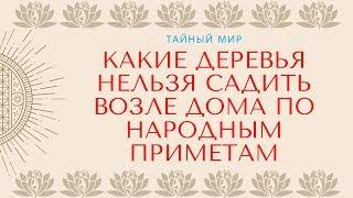 Какие деревья нельзя садить возле дома по народным приметам