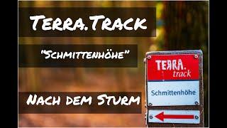 Geopark Terra Vita Track "Schmittenhöhe" Rundwanderweg im OsnabrückerLand/Zerstörung nach dem Sturm