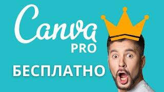 Как БЕСПЛАТНО получить Канва ПРО? Инструкция 2024. Canva Pro бесплатно