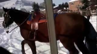 roundpen in the snow