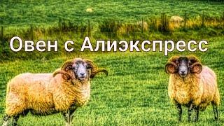 Набор для вышивания бисером с Алиэкспресс. Брелок "Овен". Обзор  + готовая работа.