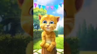 My talking Tom Ginger hitting funny short