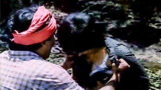 Pallavi & Prabhu Best Hit Scene || Tamil Movie Scene || HD