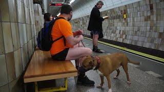 People take part in 'No Pants Subway Ride' in Prague