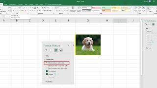 Excel how to insert picture move and resize with cells