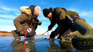 КРИГА ПРОЗОРА ЯК СКЛО, А МИ ЛОВИМ РАКА ТА ЩУК НА ЖЕРЛИЦІ