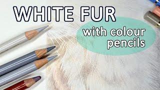 WHITE FUR TUTORIAL - How to draw white fur with color pencil using Polychromos and Derwent Drawing