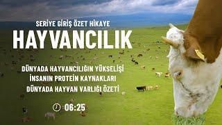 Hayvancılık Serisi Giriş