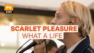 Scarlet Pleasure - What A Life | Fredagsscenen Live 2020 | P4