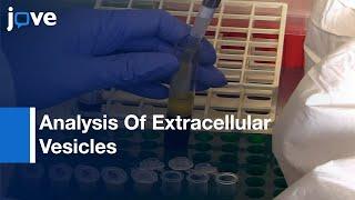 Analysis Of Extracellular Vesicles Using Flow Cytometry (Techniques)