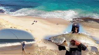 IFISH Kalbarri Beach Mulloway