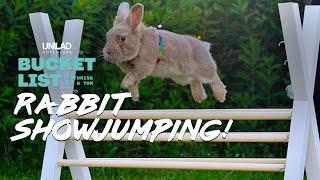 The World's Cutest Sport? | Rabbit Show Jumping