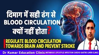 दिमाग में सही ढंग से blood circulation क्यों नहीं होता?//Regulate Blood circulation & prevent stroke