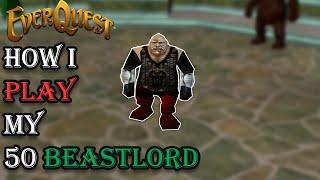 How I Play My Level 50 Beastlord - Everquest Guide