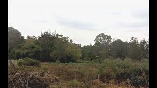 Land for Sale in Mushroom Garden, Kiambu Road