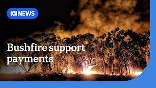 Calls for Commonwealth bushfire support to be expanded | ABC NEWS