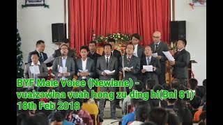 BYF Male Voice(Newlane) - Vualzawlna vuah hong zu ding hi (Audio)