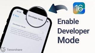 How to Enable iPhone Developer Mode on New iOS 18/17/16 - 2 Ways in 2024