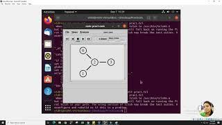 NS2 UDP Connection - Star Topology