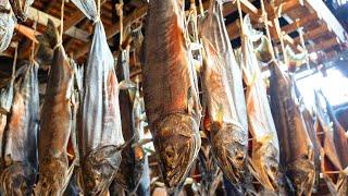 「鮭に切腹させない」1000年受け継がれる「塩引き鮭」の作り方 | 新潟県村上市・千年鮭 きっかわ