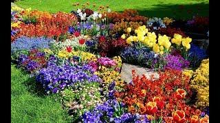 අම්මෝ මල් වල ලස්සන Hakgala Botanical Garden Amazing bloomed flowers my beautiful Sri Lanka