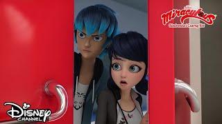  Konkurs talentów | Miraculous: Biedronka i Czarny Kot | Disney Channel Polska