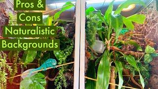 Pros and Cons Naturalistic Backgrounds