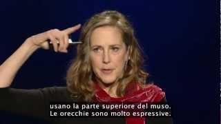 TEDItalia - Mary Roach : 10 cose che non sapevate sull'orgasmo