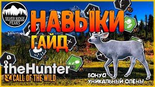 theHunter Call of the WildНАВЫКИГАЙД ПО НАВЫКАМВЫЦВЕТШИЙ