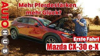 Mehr Pferdestärken für den e-Skyactiv X - Der Mazda CX-30 / Test / Review / Leistung / SPCCI erklärt