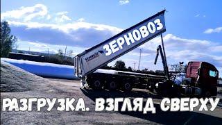 Уборочная 2021 | Работа на тонаре | Зерновоз