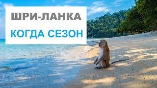 ОТЗЫВЫ ТУРИСТОВ ХИККАДУВА УНАВАТУНА