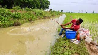 Fishing Video|| Traditional boy fishing with a hook in the village canal || Best hook fishing