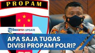 Mengenal Divisi Propam Polri yang Sempat Dipimpin Irjen Ferdy Sambo, Divisi Elite Korps Bhayangkara