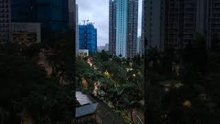 2023-Sep-2 Typhoon Saola  Signal 8 6:00am Dawn @ Fanling