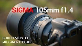 BOKEH MEISTER SIGMA 105mm f1 4 mit CANON EOS 200D - FOTO UND VIDEO