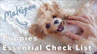 Maltipoo Puppy Essentials Check List // What You Need FIRST 2 WEEKS