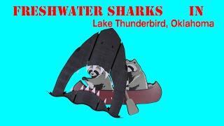 Sharks in Lake Thunderbird: Norman, Oklahoma