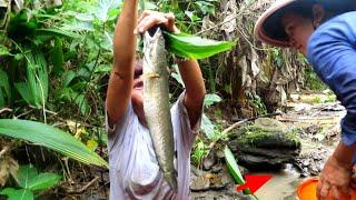 SUNGAI TERPENCIL DI TENGAH HUTAN TEMPATNYA GABUS MONSTER