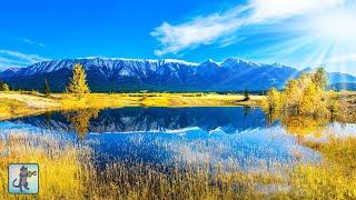 Breathtaking Nature Scenery in 4K • Nature Scenes & Relaxing Music for Stress Relief.