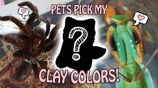 MY PETS PICK MY CLAY COLORS! ...nightmare edition