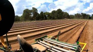 Spreading Fertilizer/Making Strawberry Beds! 