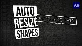 AUTOMATICALLY Adjust SHAPE LAYER Sizes to Your Text Tutorial Tuesday