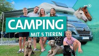 Wohnmobil-Tour mit 3 Hunden und 2 Pferden | ARD Reisen