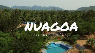 Goa vibes in Odisha || Nuagoa Nature Retreat