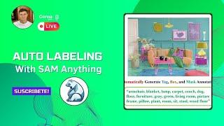 Auto labelling con SAM Anything & GPU | Python