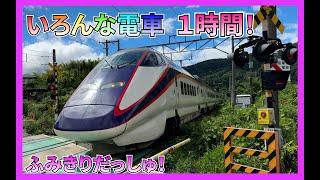 【電車】人気【いろんな電車と新幹線たっぷり１時間！】子供と大人で楽しむ鉄道動画 踏切 アンパンマン電車 トーマス 山手線 特急　こまち　つばさ　train railway 京急 西武 東武 総集編